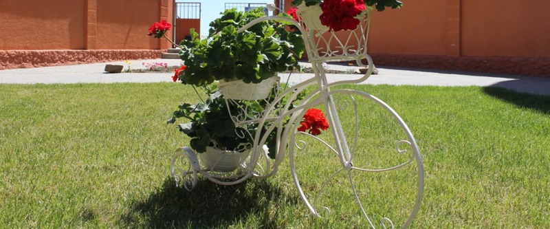 Кто заказывал такси на пляж? :) Кто заказывал такси на пляж? :)