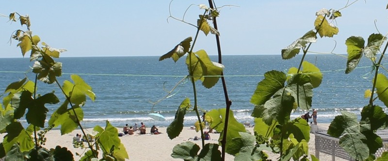 А как Вам такой вид с балкона? Да, это Парус... А как Вам такой вид с балкона? Да, это Парус...